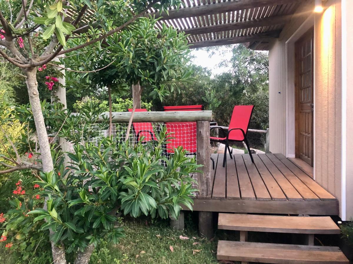 Malta Homestay Jose Ignacio  Luaran gambar