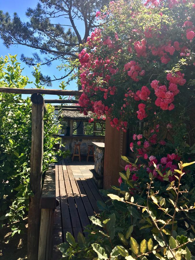 Malta Homestay Jose Ignacio  Luaran gambar