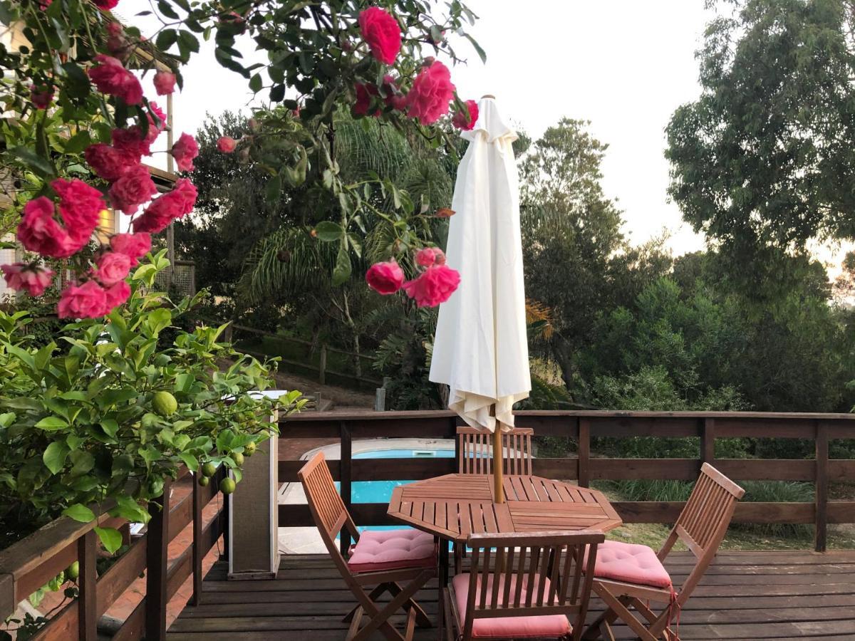 Malta Homestay Jose Ignacio  Luaran gambar
